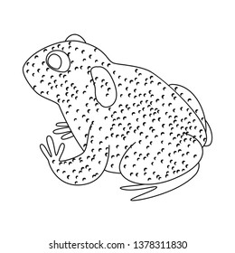 Isolated object of toad and tropical symbol. Collection of toad and ecology stock symbol for web.