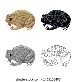 Isolated object of toad and tropical symbol. Collection of toad and green stock symbol for web.