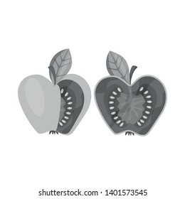 Isolated object of tomato and apple icon. Set of tomato and fruit stock vector illustration.