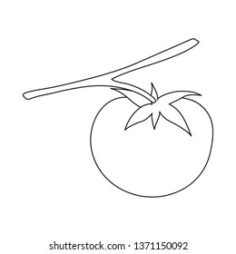 Isolated object of tomato and red logo. Collection of tomato and ripe stock vector illustration.