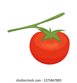 Isolated object of tomato and red sign. Set of tomato and ripe vector icon for stock.