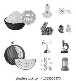 Isolated object of transgenic and organic sign. Set of transgenic and synthetic vector icon for stock.