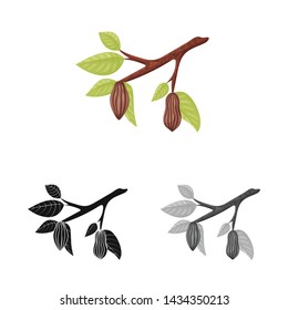 Isolated object of tree and chocolate icon. Collection of tree and plantation stock vector illustration.