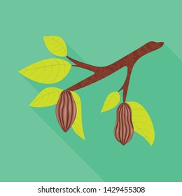 Isolated object of tree and chocolate symbol. Set of tree and plantation stock symbol for web.