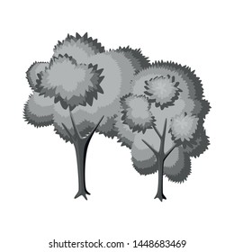 Isolated object of tree and deciduous logo. Set of tree and green stock vector illustration.