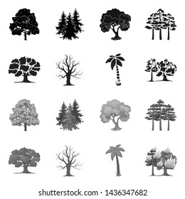 Isolated object of tree and forest icon. Set of tree and green vector icon for stock.