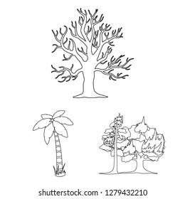 Isolated object of tree  and forest logo. Collection of tree  and green stock symbol for web.