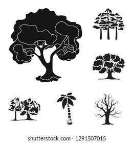 Isolated object of tree  and forest sign. Set of tree  and green stock symbol for web.