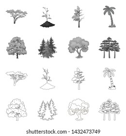 Isolated object of tree and forest sign. Set of tree and green stock symbol for web.