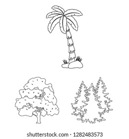 Isolated object of tree  and forest symbol. Collection of tree  and green vector icon for stock.