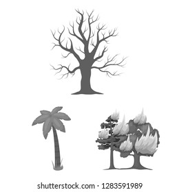Isolated object of tree  and forest symbol. Set of tree  and green stock vector illustration.