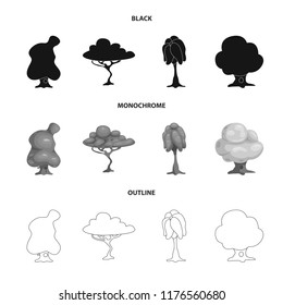 Isolated object of tree and nature icon. Set of tree and crown stock symbol for web.