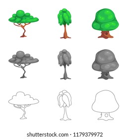 Isolated object of tree and nature icon. Collection of tree and crown vector icon for stock.