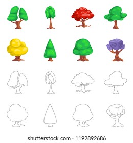 Isolated object of tree and nature icon. Set of tree and crown stock symbol for web.