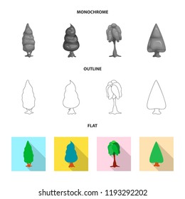 Isolated object of tree and nature icon. Set of tree and crown stock vector illustration.