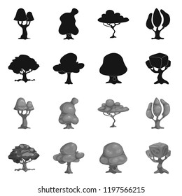 Isolated object of tree and nature icon. Set of tree and crown vector icon for stock.