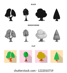 Isolated object of tree and nature icon. Collection of tree and crown stock symbol for web.