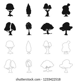 Isolated object of tree and nature icon. Collection of tree and crown stock symbol for web.