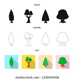 Isolated object of tree and nature icon. Set of tree and crown stock vector illustration.