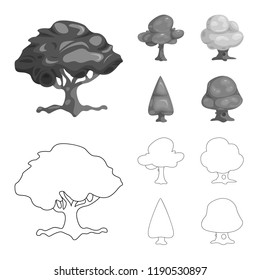 Isolated object of tree and nature logo. Collection of tree and crown stock vector illustration.