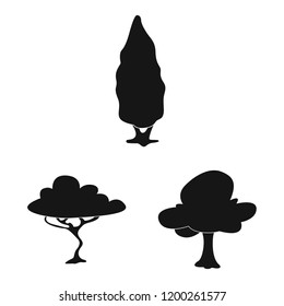 Isolated object of tree and nature logo. Set of tree and crown stock vector illustration.