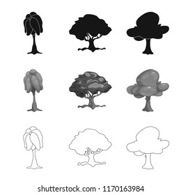 Isolated object of tree and nature sign. Set of tree and crown stock vector illustration.