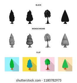 Isolated object of tree and nature symbol. Collection of tree and crown stock symbol for web.