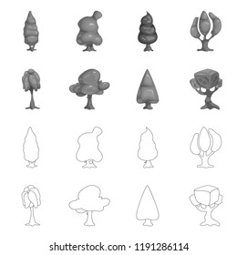 Isolated object of tree and nature symbol. Collection of tree and crown stock vector illustration.