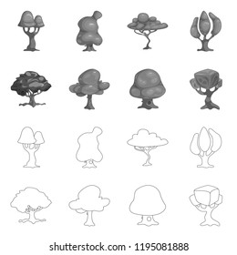 Isolated object of tree and nature symbol. Collection of tree and crown vector icon for stock.