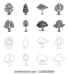 Isolated object of tree and nature symbol. Collection of tree and crown stock vector illustration.