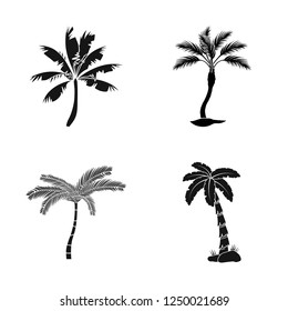 Isolated object of tree and summer icon. Set of tree and green  vector icon for stock.