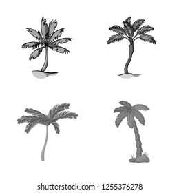 Isolated object of tree and summer sign. Set of tree and green  stock symbol for web.