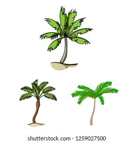 Isolated object of tree and summer sign. Collection of tree and green  stock symbol for web.