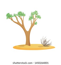 Isolated object of tree and tumbleweed symbol. Collection of tree and western stock symbol for web.