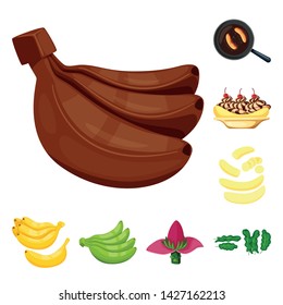 Isolated object of tropical and ripe logo. Collection of tropical and potassium vector icon for stock.