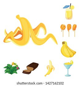 Isolated object of tropical and ripe sign. Set of tropical and potassium vector icon for stock.