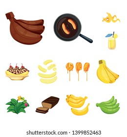 Isolated object of tropical and ripe symbol. Collection of tropical and potassium stock symbol for web.