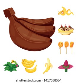 Isolated object of tropical and ripe symbol. Collection of tropical and potassium vector icon for stock.