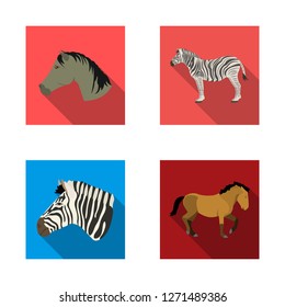 Isolated object of trot and running icon. Collection of trot and clipart stock vector illustration.