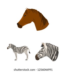 Isolated object of trot and running logo. Set of trot and clipart stock vector illustration.