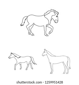 Isolated object of trot and running logo. Set of trot and clipart stock vector illustration.