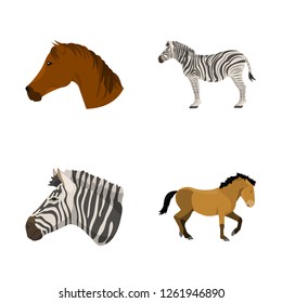 Isolated object of trot and running logo. Collection of trot and clipart stock vector illustration.
