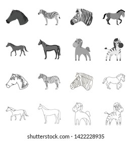 Isolated object of trot and running logo. Collection of trot and clipart vector icon for stock.