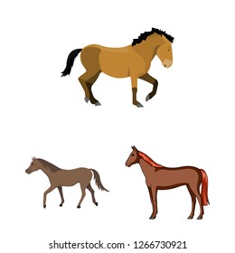 Isolated object of trot and running sign. Set of trot and clipart stock vector illustration.