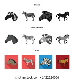 Isolated object of trot and running sign. Collection of trot and clipart stock symbol for web.