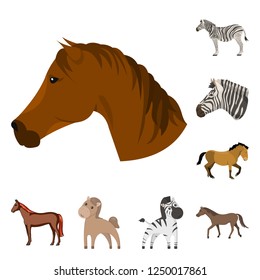 Isolated object of trot and running symbol. Collection of trot and clipart stock symbol for web.