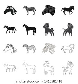 Isolated object of trot and running symbol. Set of trot and clipart stock vector illustration.