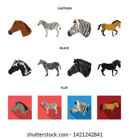 Isolated object of trot and running symbol. Collection of trot and clipart stock vector illustration.