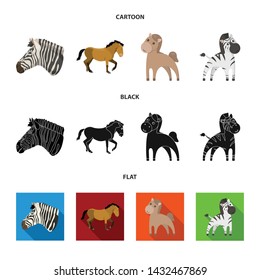 Isolated object of trot and running symbol. Set of trot and clipart stock vector illustration.