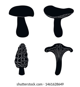 Isolated object of variety and ingredient symbol. Set of variety and food stock symbol for web.
